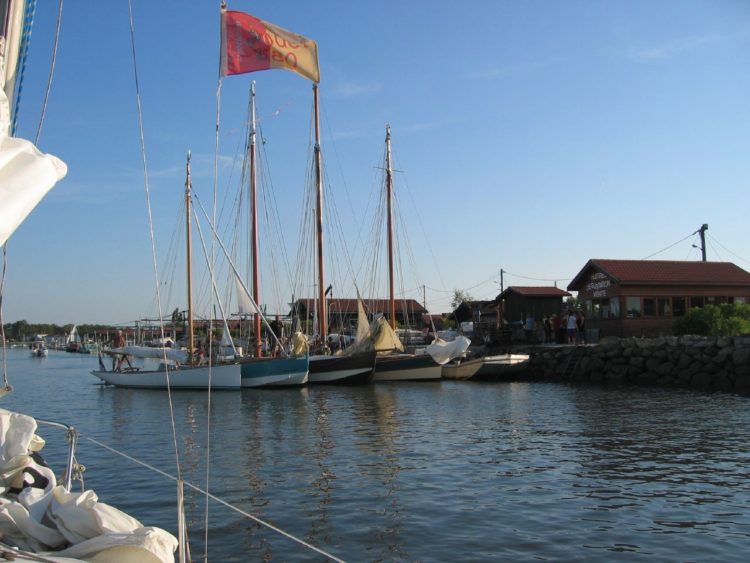 Fin de la régate des Bacs dans le port de La Teste