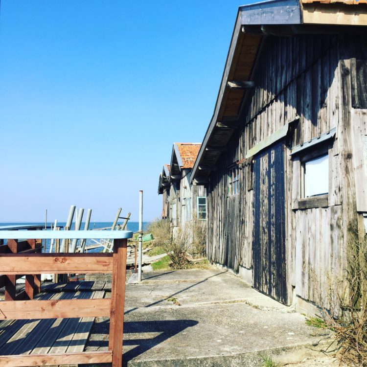 Le quai de la cabane des Jouët 680