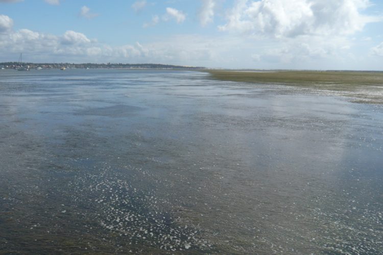 Miroir d'eau sauvage