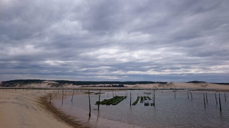 Panoramique sur Arguin