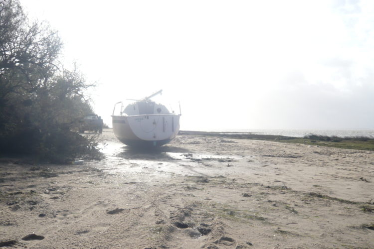 Iboga échouée à Saint-Brice