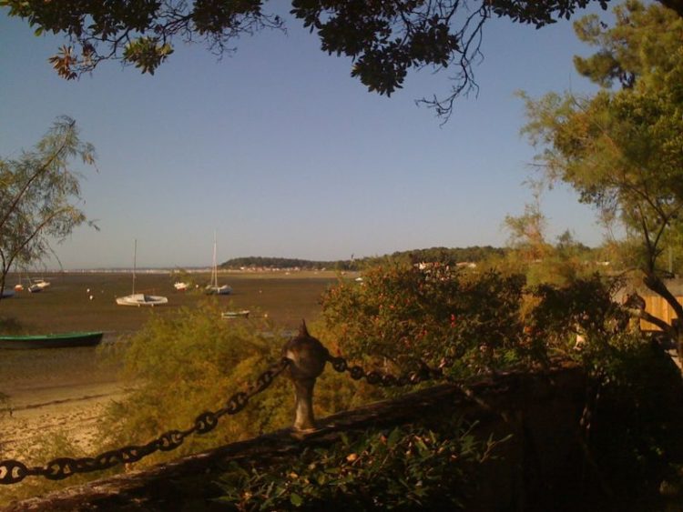 Vue du jardin de Sylvosa un matin d'été finissant