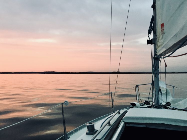 L'heure rose à l'île aux oiseaux