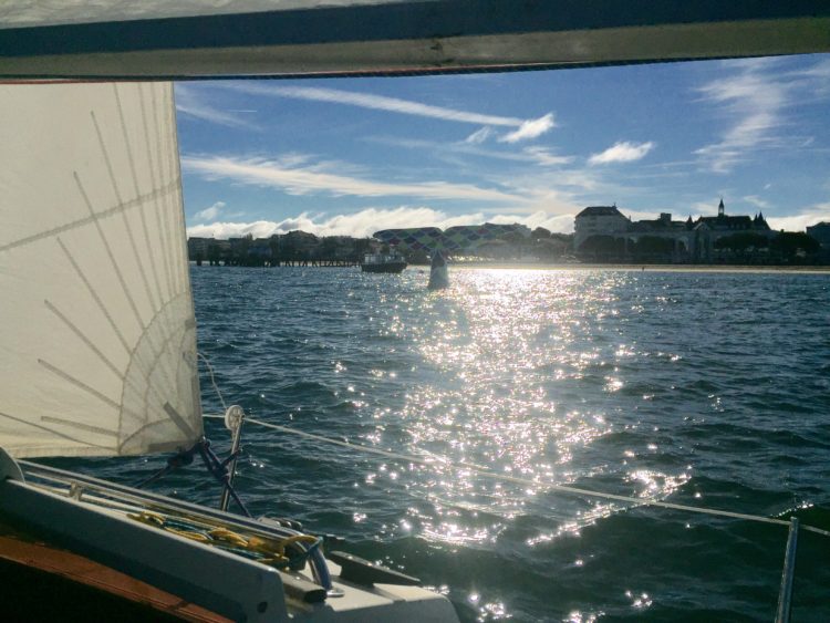 La baleine est encore là