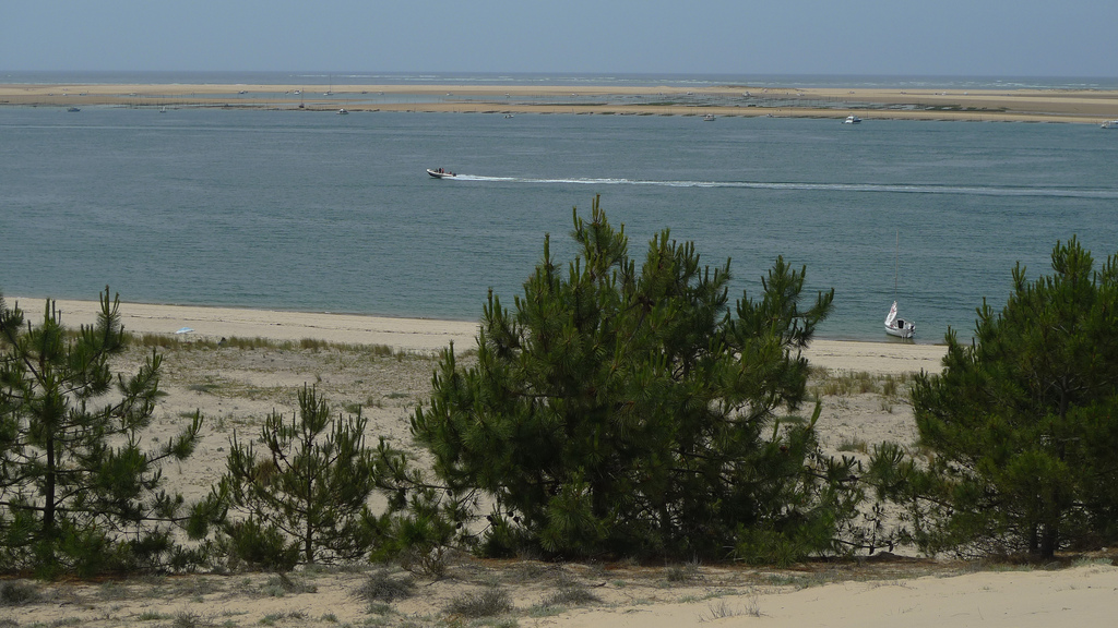 Le banc d'Arguin, vu des Sabloneys