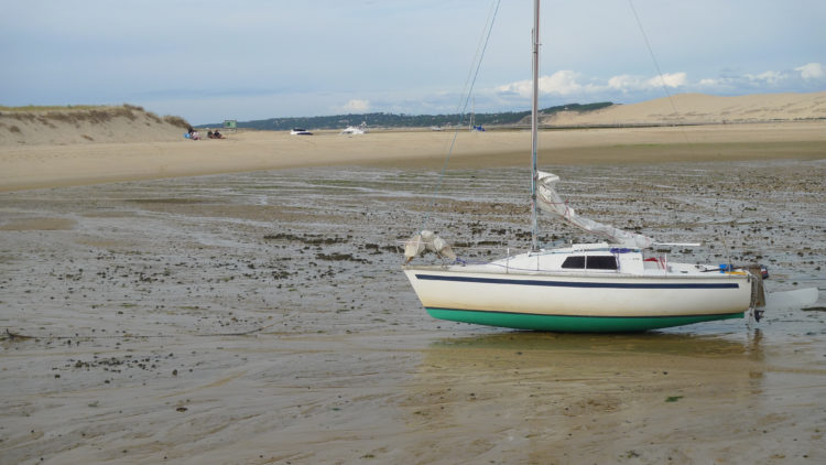 Iboga échoué pour la marée à Arguin