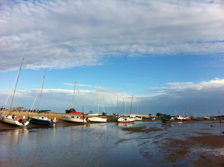 La flotte beachée au Mimbeau