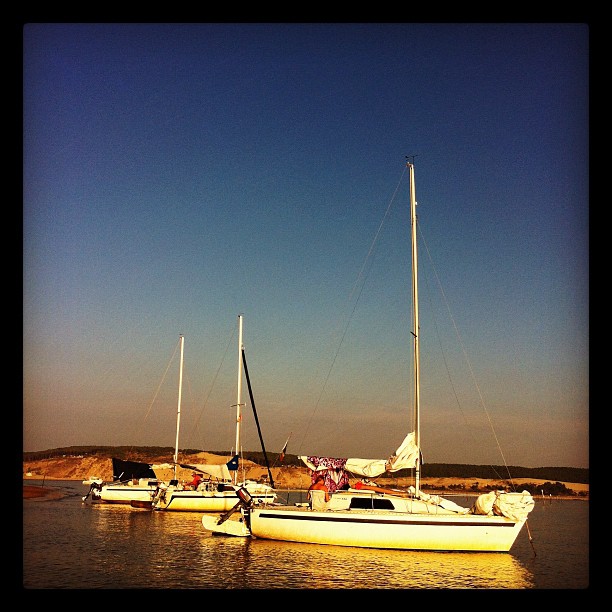 Iboga, le Gaillard, Hélios : 3 Jouët 680 mouillés pour la nuit à Arguin :) #septembre