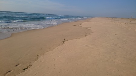 La plage ouest d'Arguin pour nous seuls