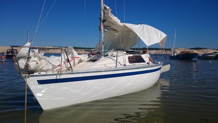 L'Iboga dans la conche d'Arguin 