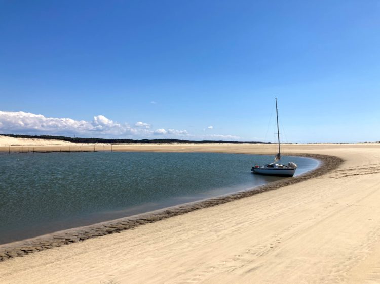 Iboga 2 mai 2021 seul dans la conche d'Arguin