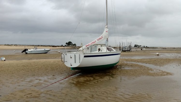 Iboga errant dans la lugue du Mimbeau