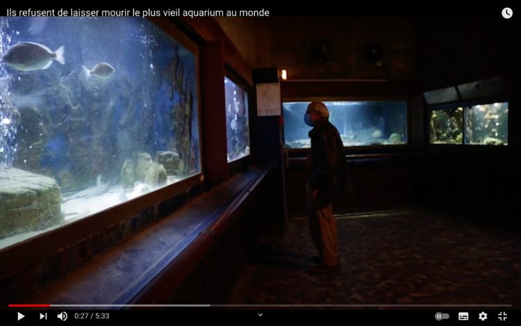 L'Aquarium d'Arcachon, le plus vieil aquarium public au monde