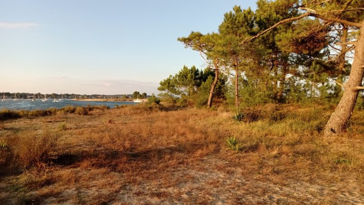 La Lugue du Mimbeau éclairée par le soleil couchant - été 2021