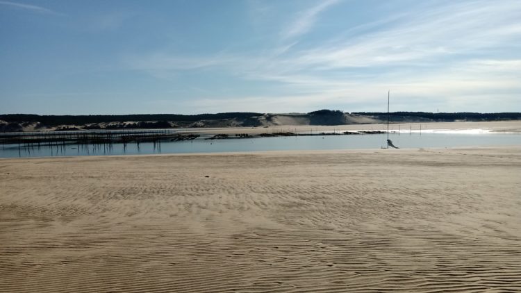 La conche d'arguin un 18 octobre