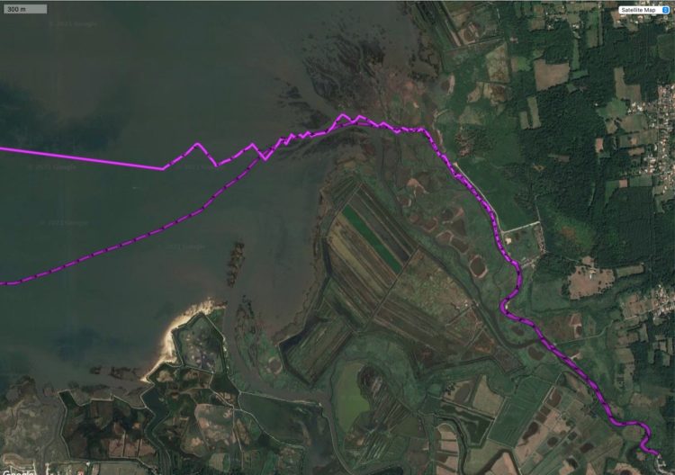 La marée du 5 août 2021 zoom sur la Leyre