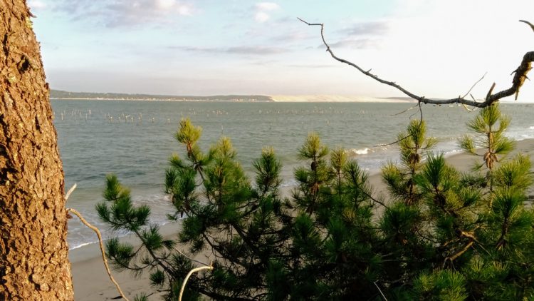 Un point de vue inédit sur la dune du Pyla