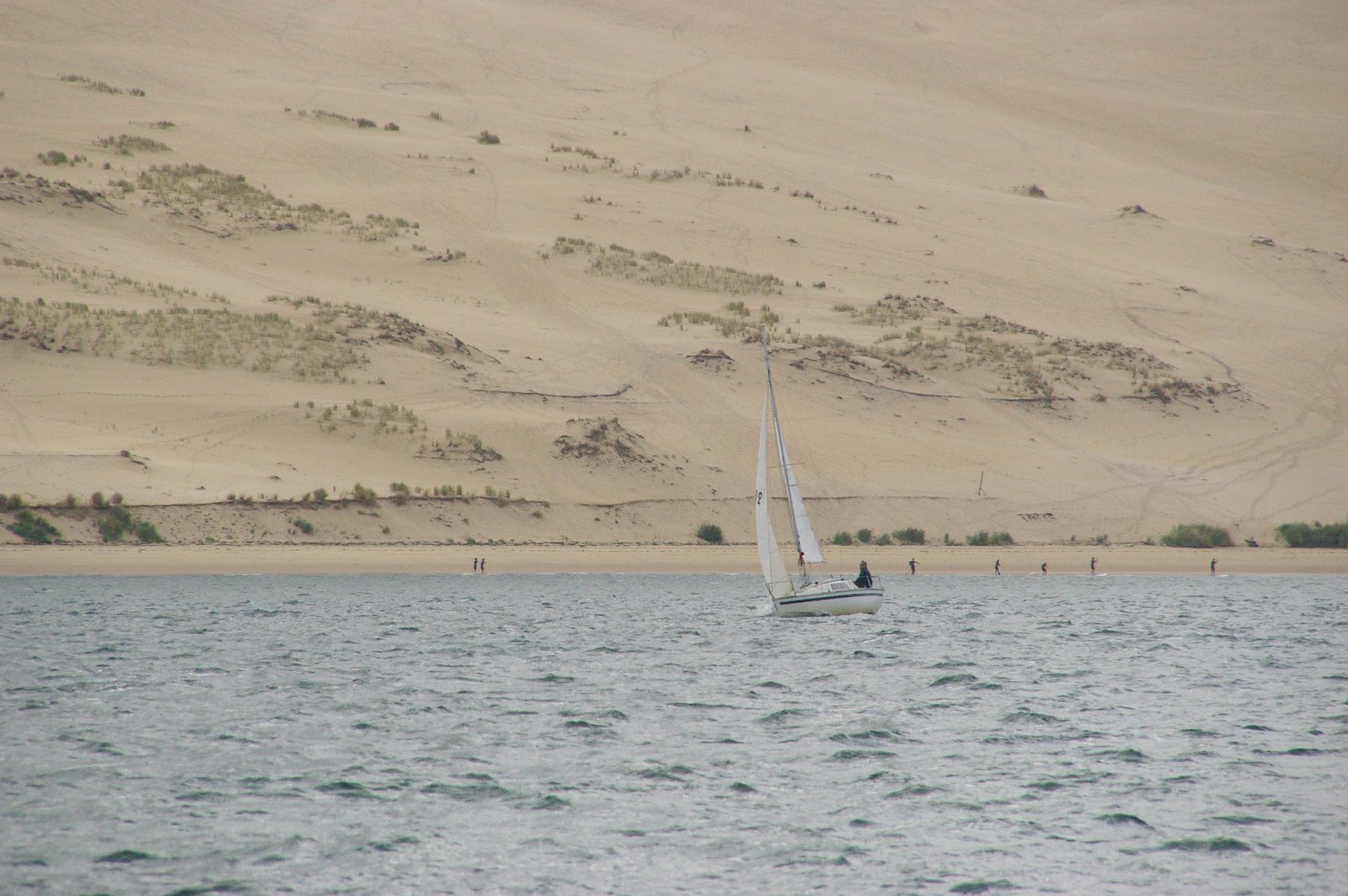 Petit Iboga au pied de la dune du Pyla, sous la conduite de Lucile.