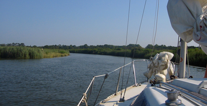 Remontée de la Leyre du Teich